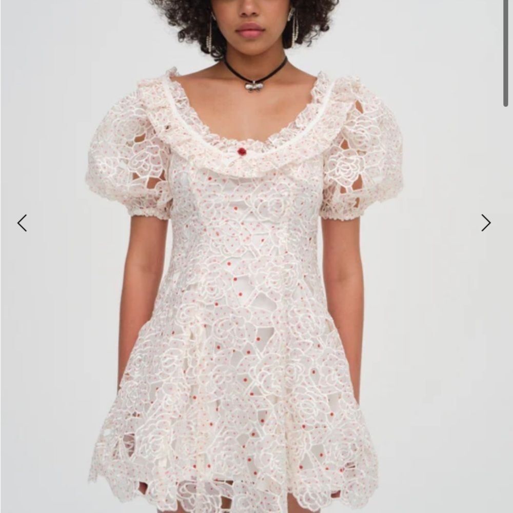 For Love & Lemons 🍋 Aphrodite Embroidered Mini Dress